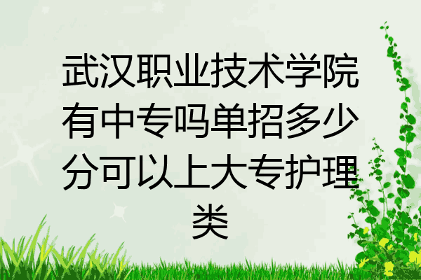 武汉职业技术学院有中专吗单招多少分可以上大专护理类
