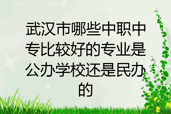 武汉市哪些中职中专比较好的专业是公办学校还是民办的