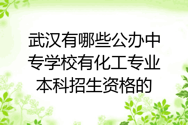 武汉有哪些公办中专学校有化工专业本科招生资格的