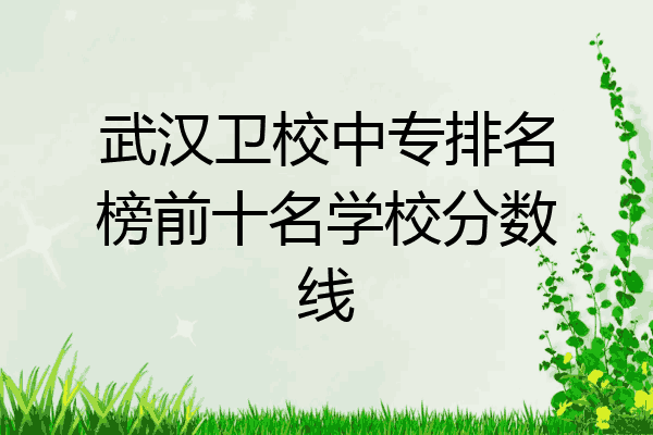 武汉卫校中专排名榜前十名学校分数线