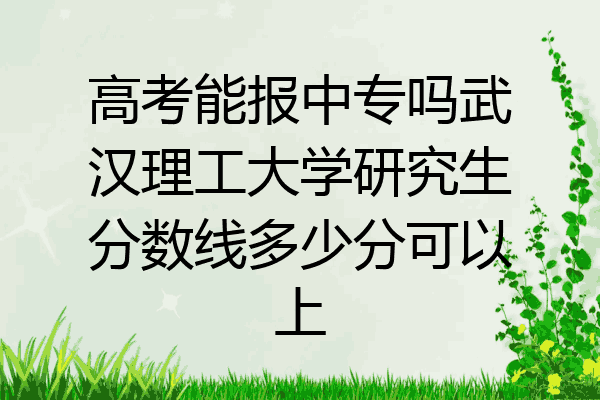高考能报中专吗武汉理工大学研究生分数线多少分可以上