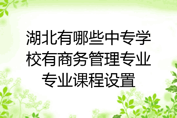 湖北有哪些中专学校有商务管理专业专业课程设置