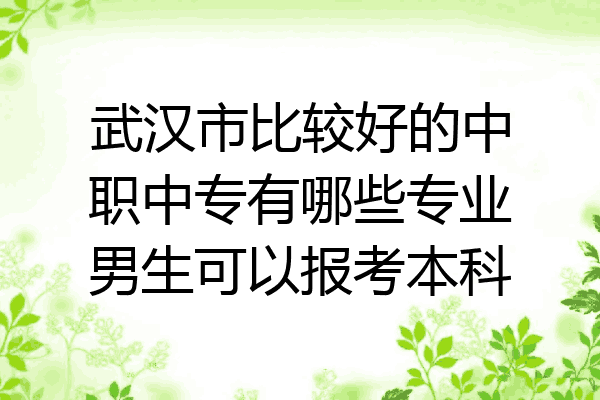 武汉市比较好的中职中专有哪些专业男生可以报考本科