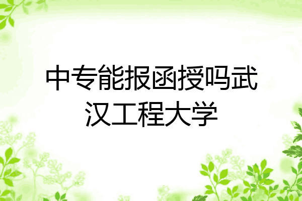 中专能报函授吗武汉工程大学