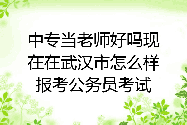 中专当老师好吗现在在武汉市怎么样报考公务员考试