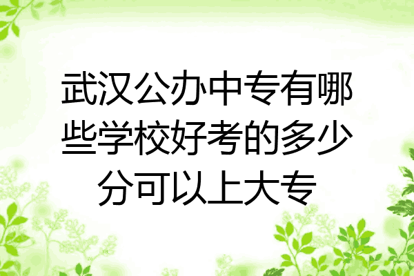 武汉公办中专有哪些学校好考的多少分可以上大专