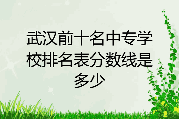 武汉前十名中专学校排名表分数线是多少