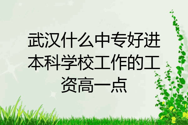 武汉什么中专好进本科学校工作的工资高一点