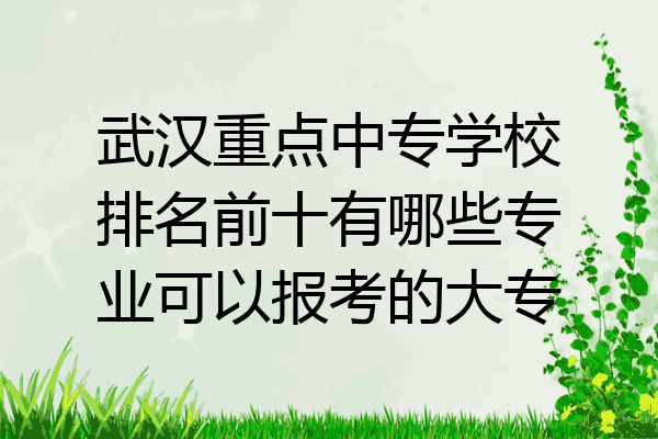 武汉重点中专学校排名前十有哪些专业可以报考的大专
