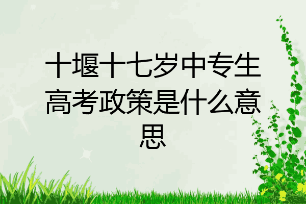 十堰十七岁中专生高考政策是什么意思
