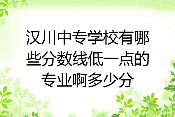 汉川中专学校有哪些分数线低一点的专业啊多少分
