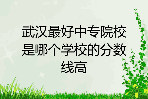 武汉最好中专院校是哪个学校的分数线高
