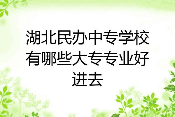 湖北民办中专学校有哪些大专专业好进去
