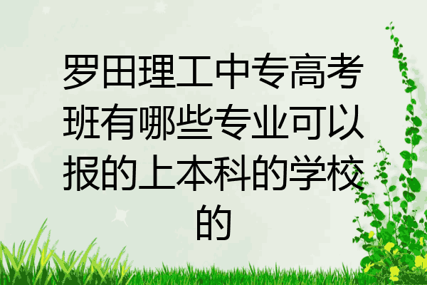 罗田理工中专高考班有哪些专业可以报的上本科的学校的