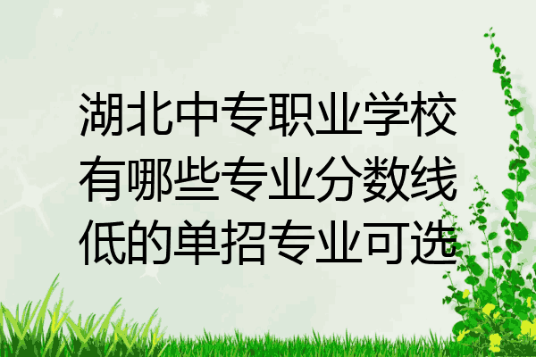 湖北中专职业学校有哪些专业分数线低的单招专业可选