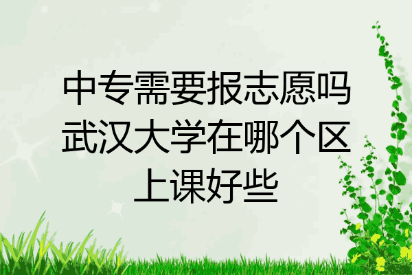 中专需要报志愿吗武汉大学在哪个区上课好些