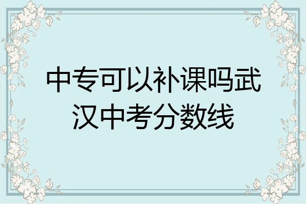 中专可以补课吗武汉中考分数线
