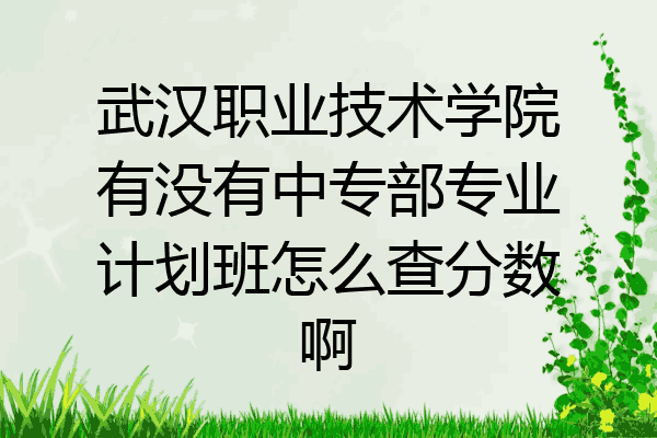 武汉职业技术学院有没有中专部专业计划班怎么查分数啊