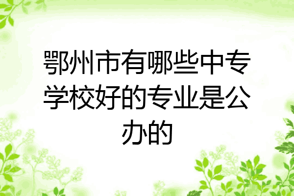 鄂州市有哪些中专学校好的专业是公办的
