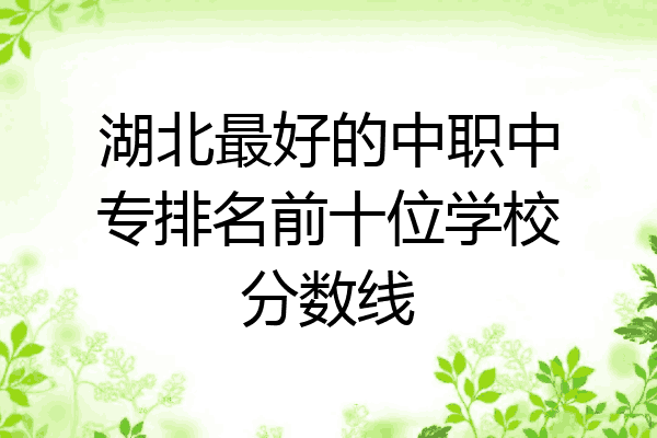 湖北最好的中职中专排名前十位学校分数线