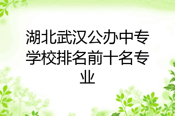 湖北武汉公办中专学校排名前十名专业