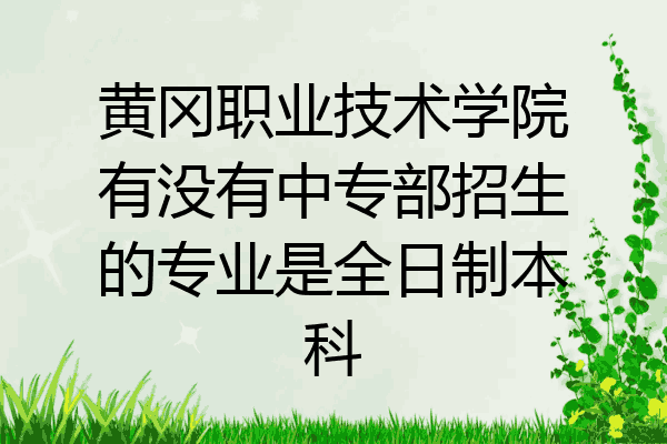 黄冈职业技术学院有没有中专部招生的专业是全日制本科