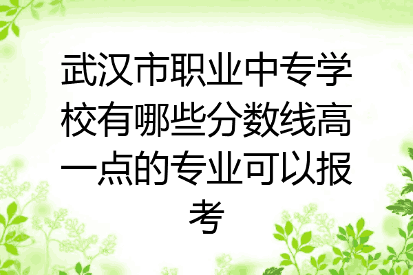 武汉市职业中专学校有哪些分数线高一点的专业可以报考