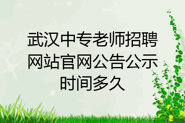 武汉中专老师招聘网站官网公告公示时间多久