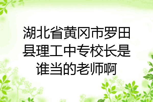 湖北省黄冈市罗田县理工中专校长是谁当的老师啊