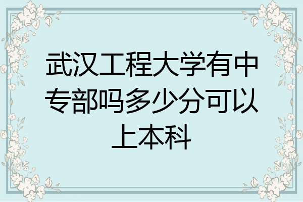 武汉工程大学有中专部吗多少分可以上本科