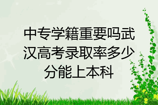 中专学籍重要吗武汉高考录取率多少分能上本科