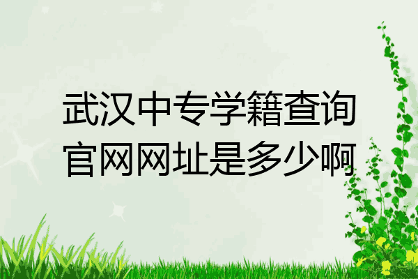 武汉中专学籍查询官网网址是多少啊
