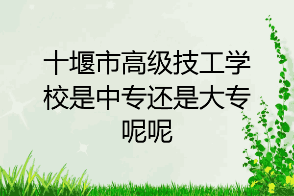 十堰市高级技工学校是中专还是大专呢呢