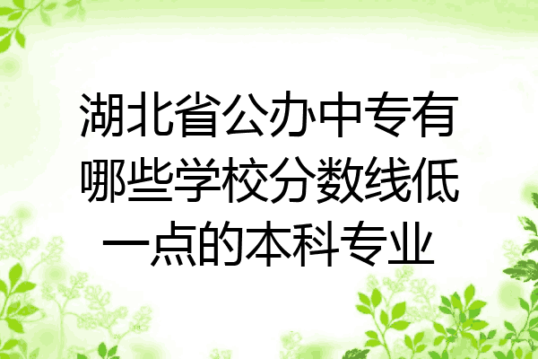 湖北省公办中专有哪些学校分数线低一点的本科专业
