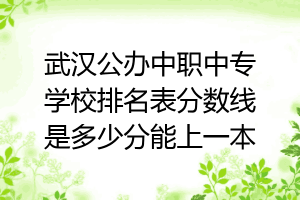 武汉公办中职中专学校排名表分数线是多少分能上一本