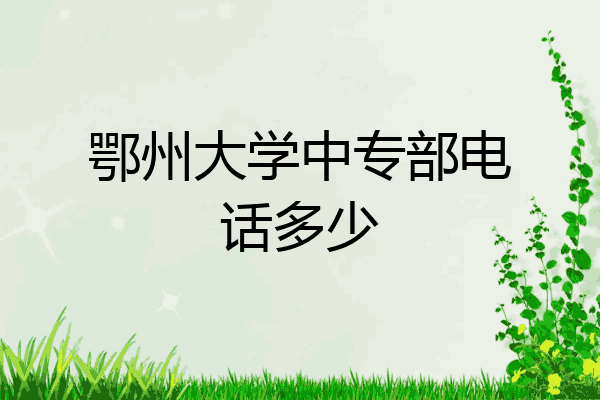 鄂州大学中专部电话多少