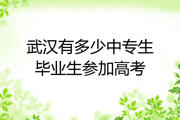 武汉有多少中专生毕业生参加高考