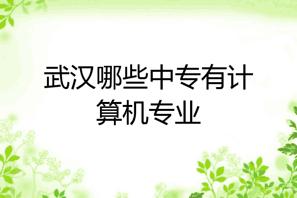 武汉哪些中专有计算机专业