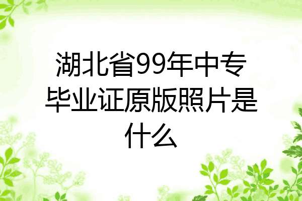 湖北省99年中专毕业证原版照片是什么