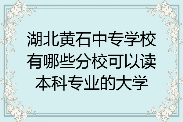 湖北黄石中专学校有哪些分校可以读本科专业的大学