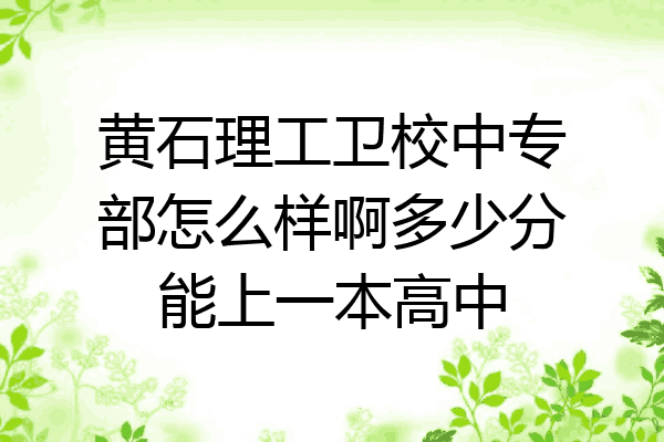 黄石理工卫校中专部怎么样啊多少分能上一本高中
