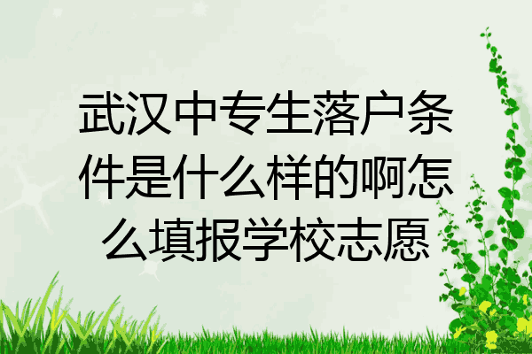 武汉中专生落户条件是什么样的啊怎么填报学校志愿