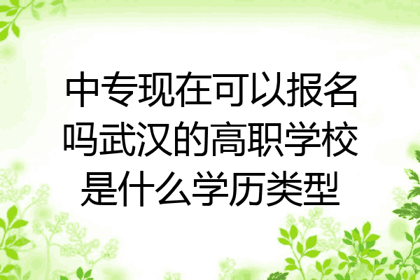 中专现在可以报名吗武汉的高职学校是什么学历类型
