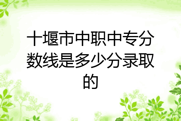 十堰市中职中专分数线是多少分录取的