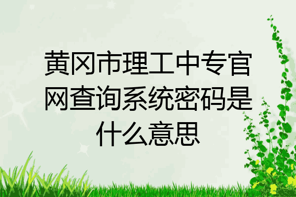 黄冈市理工中专官网查询系统密码是什么意思