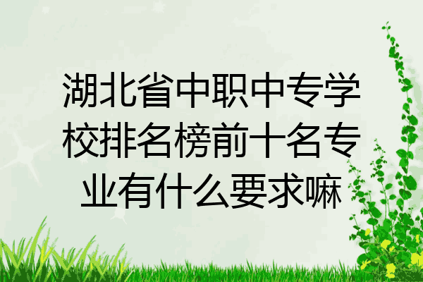 湖北省中职中专学校排名榜前十名专业有什么要求嘛