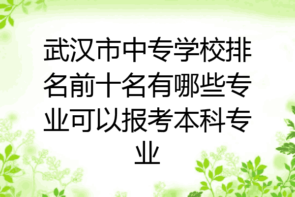 武汉市中专学校排名前十名有哪些专业可以报考本科专业