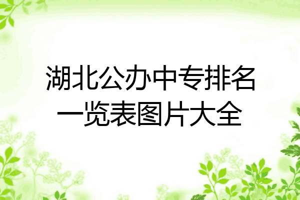 湖北公办中专排名一览表图片大全