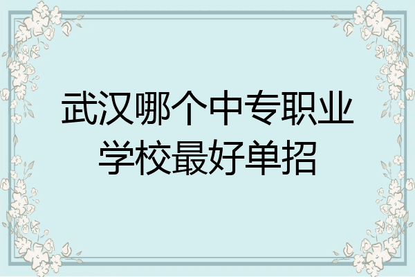 武汉哪个中专职业学校最好单招