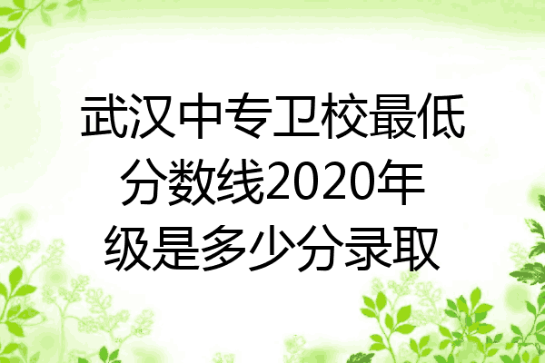 武汉中专卫校最低分数线2020年级是多少分录取